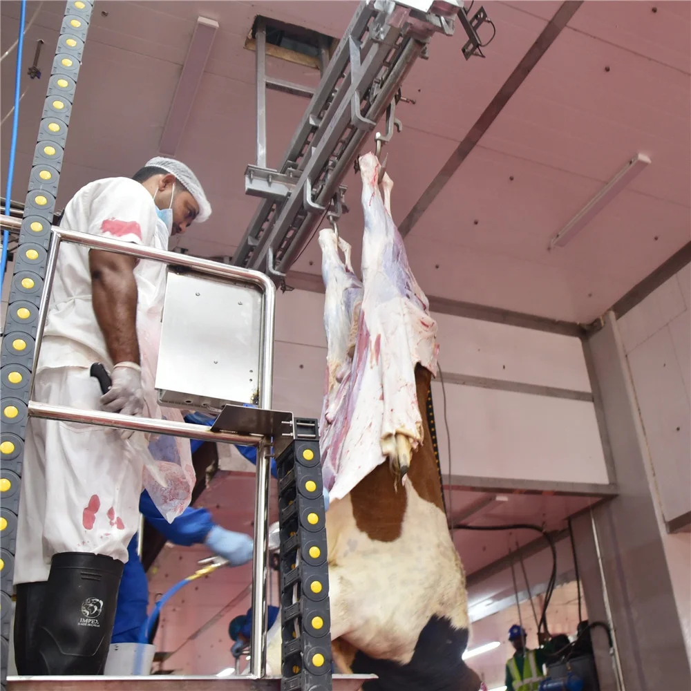 150 cows slaughterhouse per day buffalo meat slaughterhouse