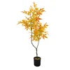 Giallo