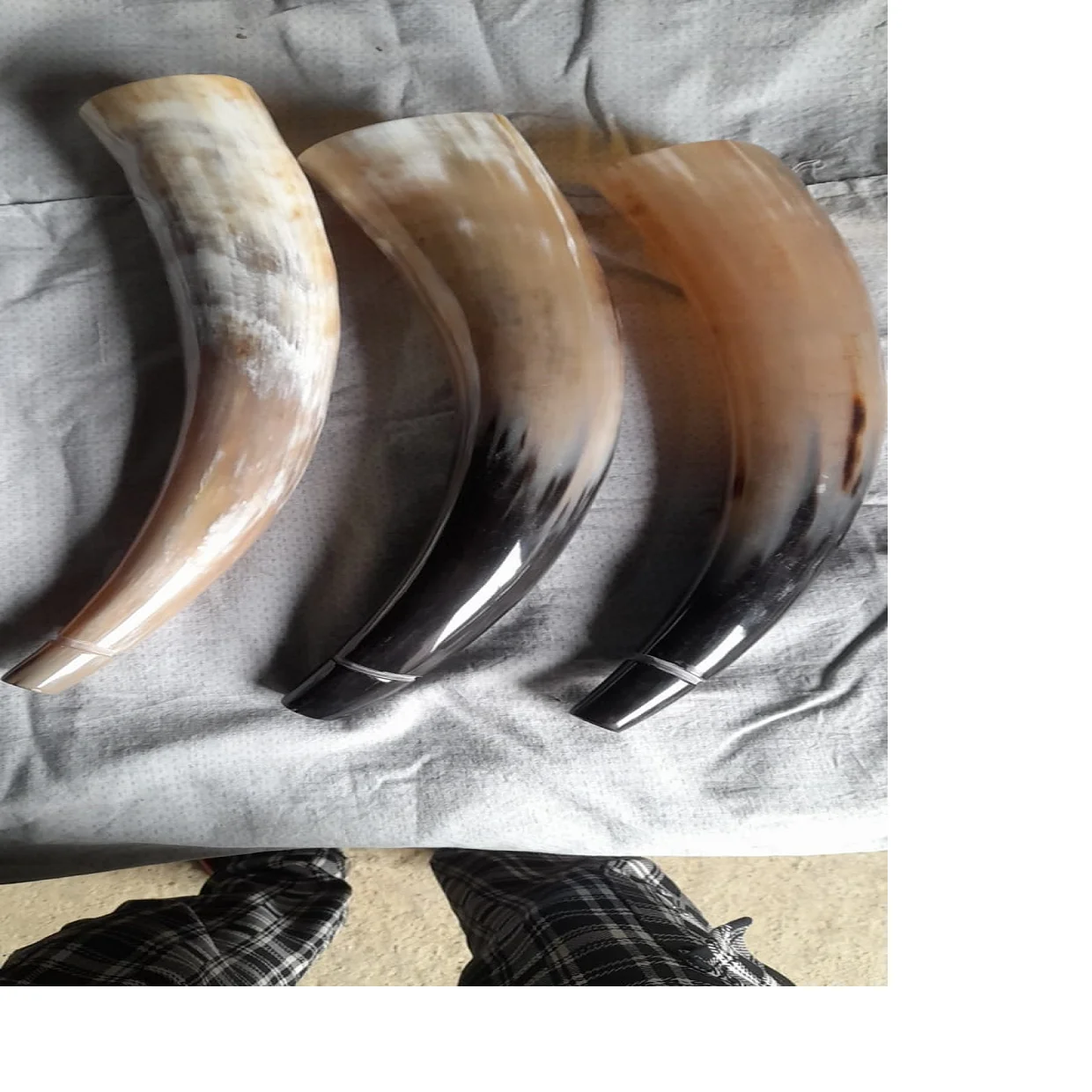 Выдувные рога для украшения дома на тему