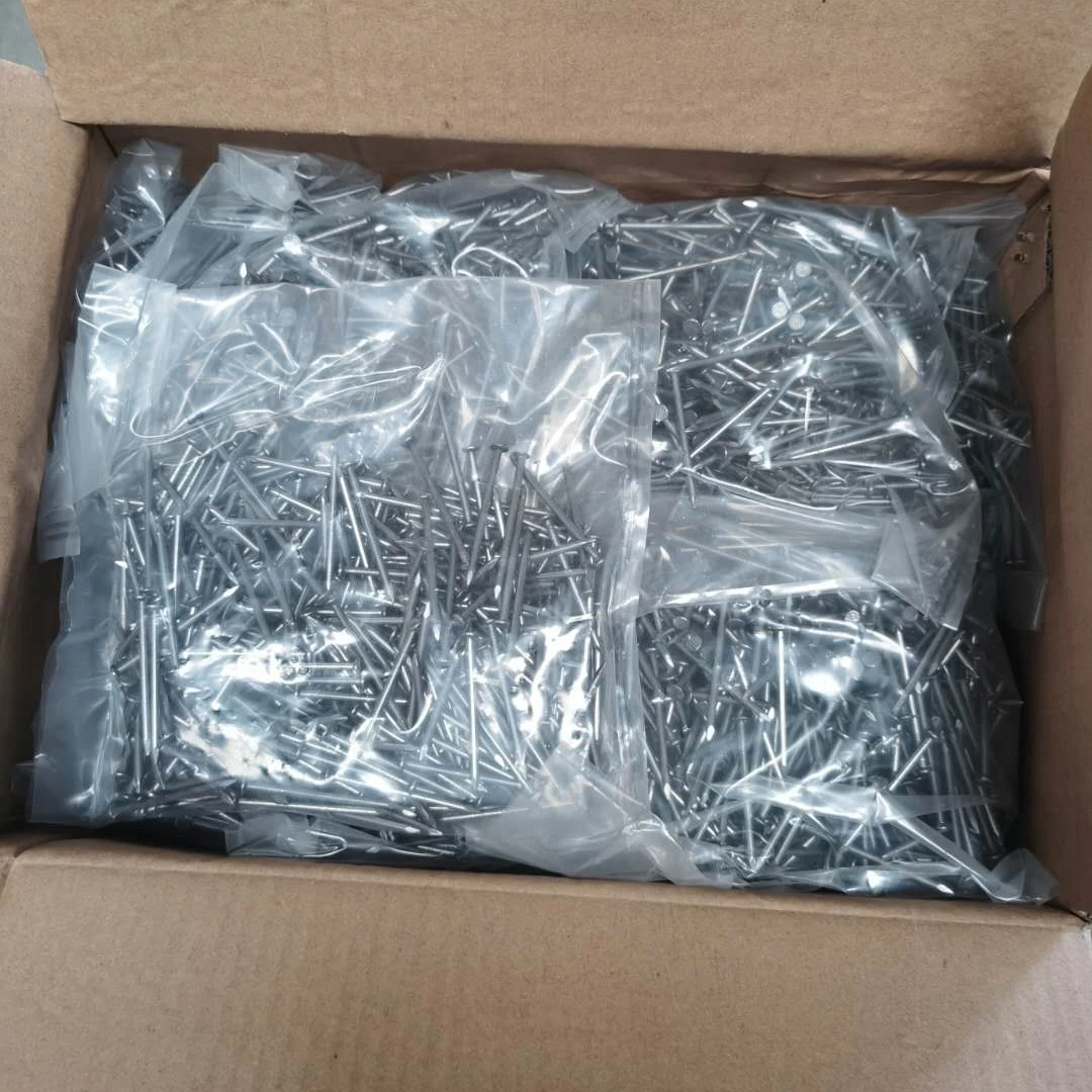 Common Polished Iron Nails Common Iron Spikes Nails Customized Package Common Nails