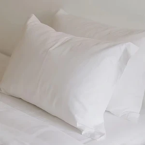 Customizable High Quality Cotton & Breathable Hotel Pillow for All-Season Use