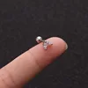 No.2 Plata