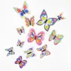 Bf7003