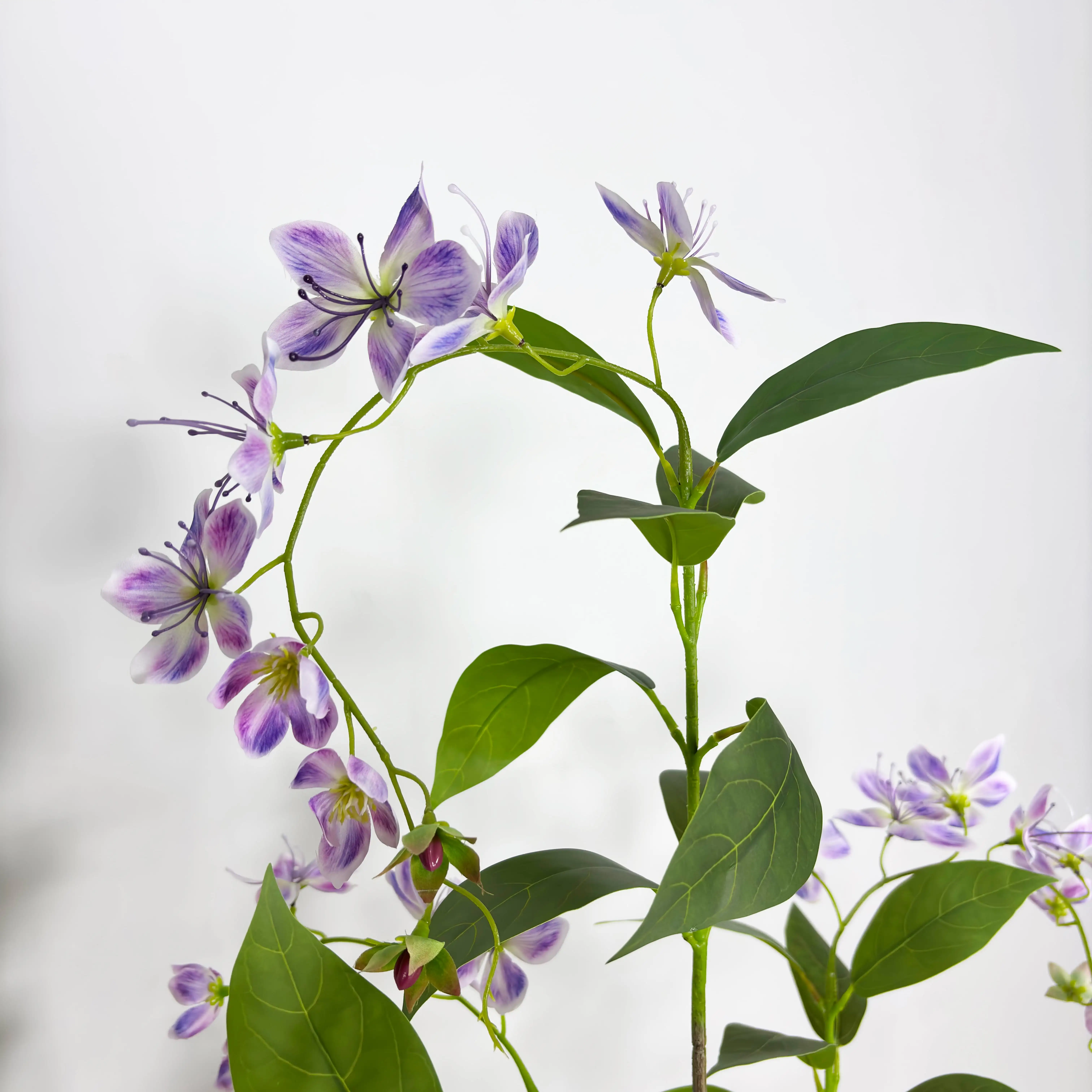 细节图4