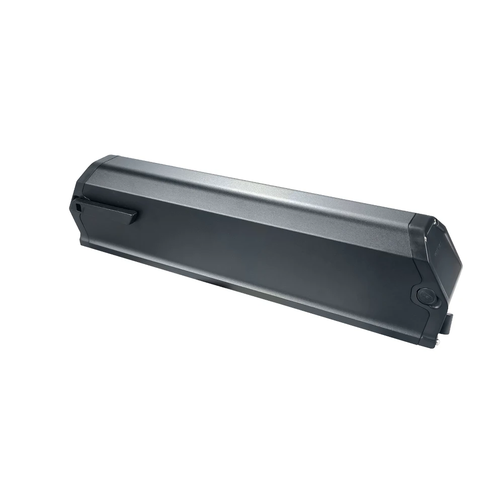 Ebike accu voor Reention Dorado-Plus 48V 11Ah voor 250W 350W