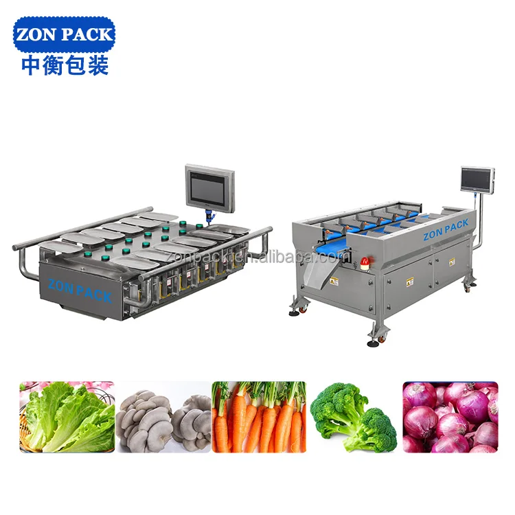 Automatic 12/14/16 Head Multihead Weigher Belt Conveyor Customizable Combination 0.1g Weighing Scale for Chicken Meat Lobster