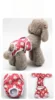 Egg-laying chicken printed doggy-style period underwear