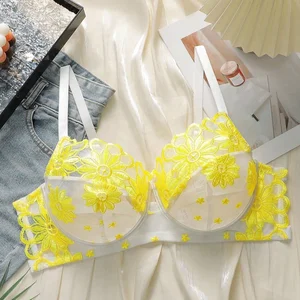 Attractive Design Wholesale Ladies Lace Push up Bra Sexy Plus Size