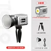 Silver s60 handheld light with mount