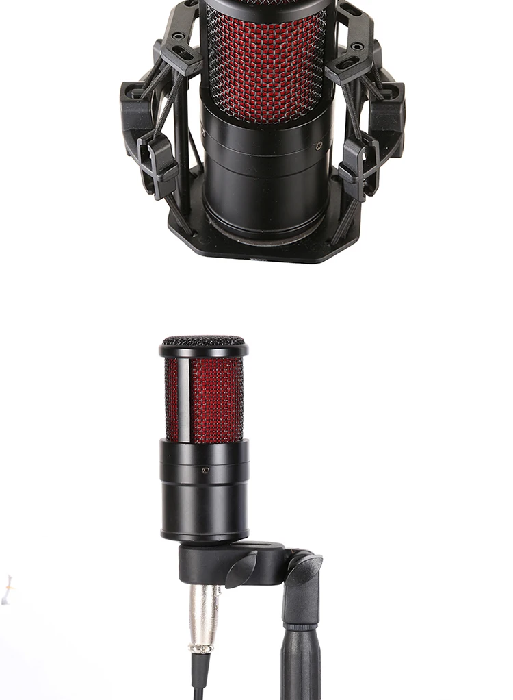 PR200_04.jpg