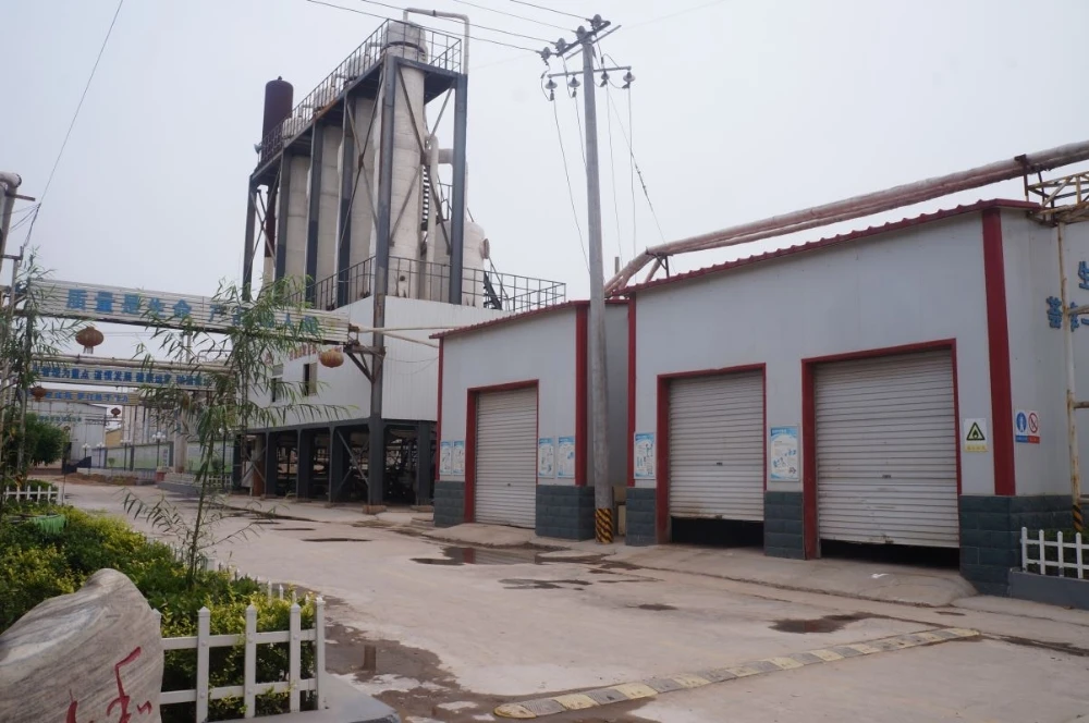 Weifang Changs Chemical Industry Co., Ltd. 3