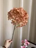 Single stem pentagram hydrangea