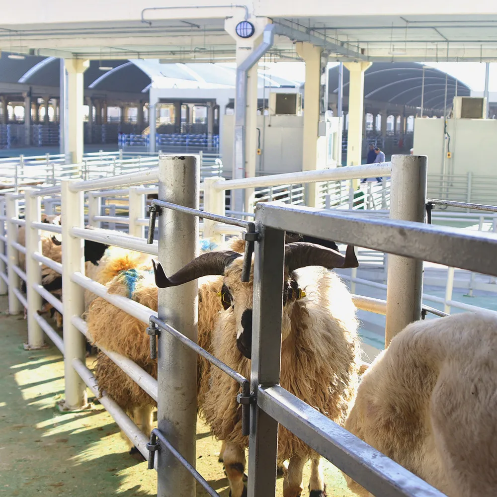 Sheep Slaughter Meet Goat Skin Removal Machine Livestock Stripping Equipment