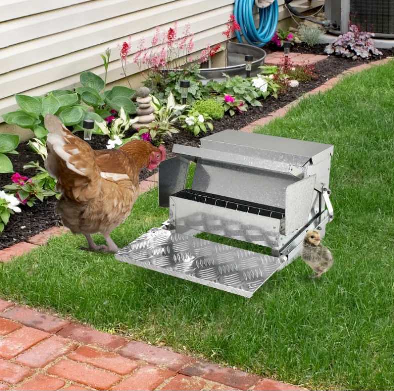 Galvanized Steel Poultry Feeder Trough Automatic Chicken Feeder Buy