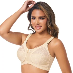 Wholesale in Cheap Price Thin Large Size Full Cup Push Lace Bra Sexy Polyamide Hooks Sheer Bras Large Breasts Bra for Women
