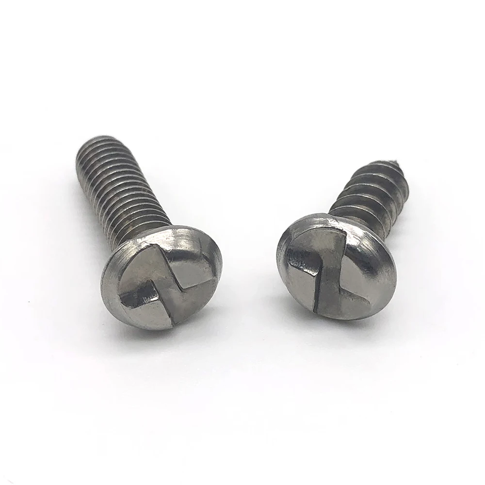 SS304 SS316 Custom Rvs Twee Gaten Snake Ogen Anti-Diefstal Beveiliging Schroef