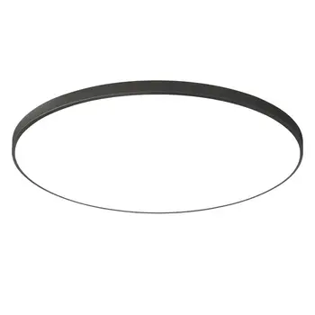 Wholesale Modern 16W & 24W LED Ceiling Lights New Acrylic and Metal Base Lamp for Home & Bedroom