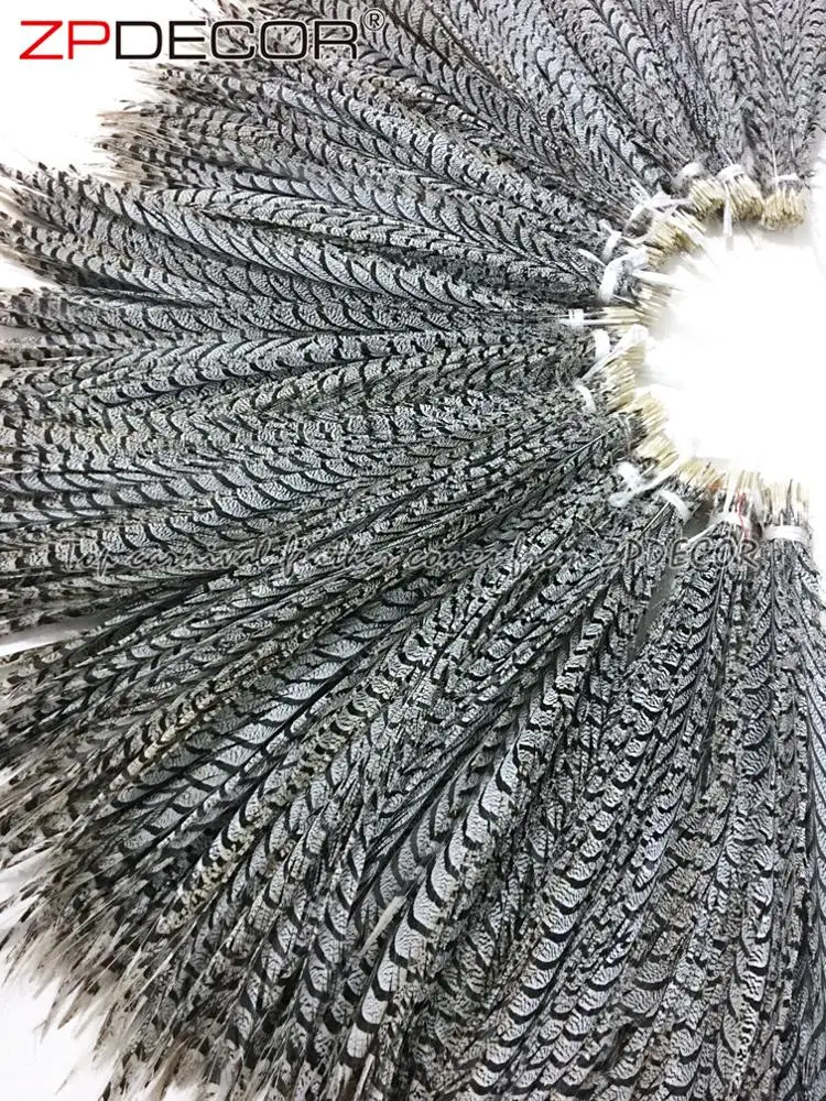 ZPDECOR Wholesale Long Size 90-100 cm Stock Natural Zebra Lady Amherst Pheasant Tail Feather for Brazilian Carnival Costume