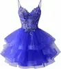Azul real