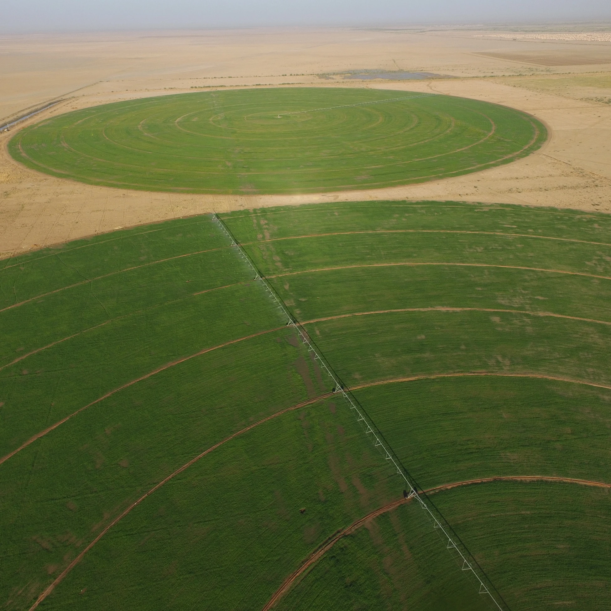 2024 Best Quality Center Pivot Irrigation System with Diesel Engine Used for Large Field