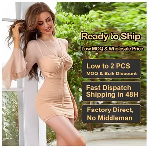 Custom Clothing Sexy V-neck Mini Dress Flared Long Sleeved Mesh Dress for Petite Women Autumn Bodycon Casual Dresses Wholesale
