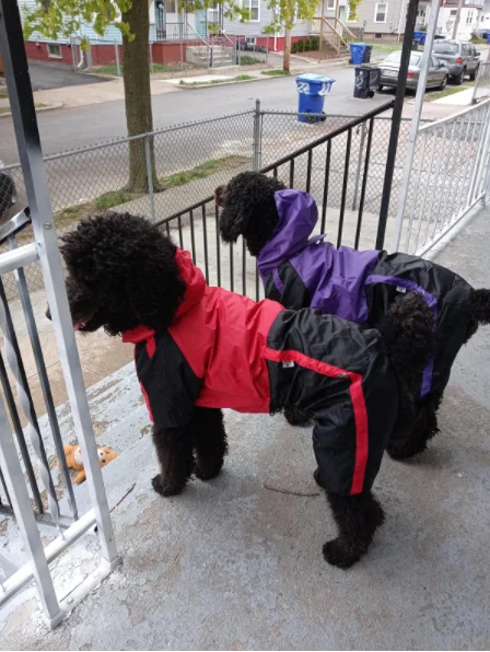 Image [7]-custom polyester fabric dog rain coat Winter Jacket - jinjiaraincoats-jinjiaraincoats