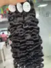 indien bouclé