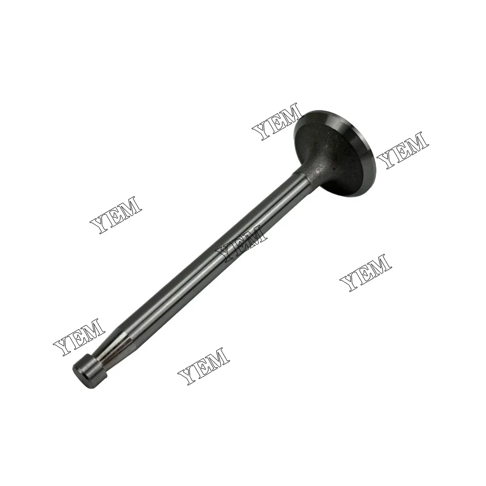 295AD Valve for SDEC Valve Engine Repair Kit 6