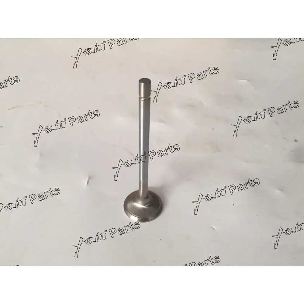 4HL1 Exhaust Valve Fit for Isuzu Aftermarket Engine Parts 2