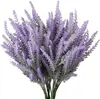 Pourpre