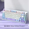 blue-white-purple