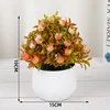 4.Tamu Rose