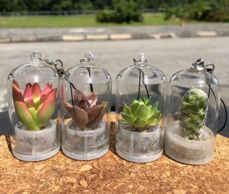 Мини-брелок для ключей с растениями