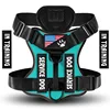 Lake blue single harness