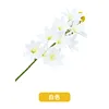 10 orquídeas Cymbidium, blancas