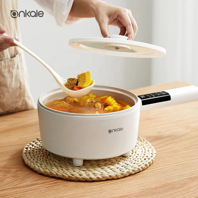 Ankala 2.5L Fashion Design easy control Kitchen cooking skillet electric pan with steamer electric frying pan