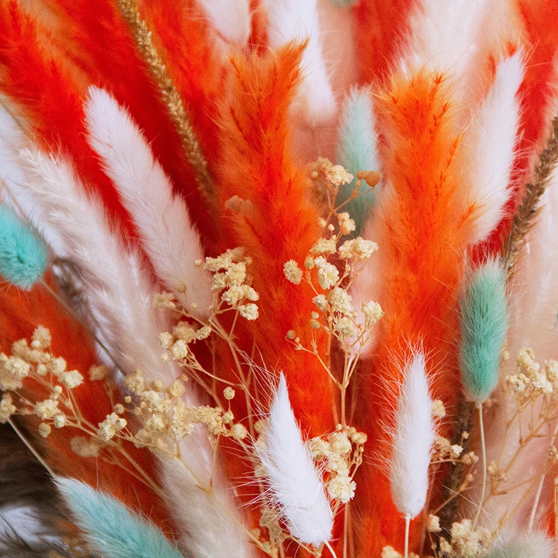 New Designed Colorful Bohemian Home Decor Popular Dried Flower Small Pampas Grass Rabbit Tail Bouquet details