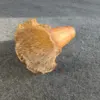 amber