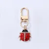 T drill ladybug