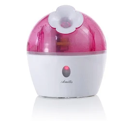 Face Steamer