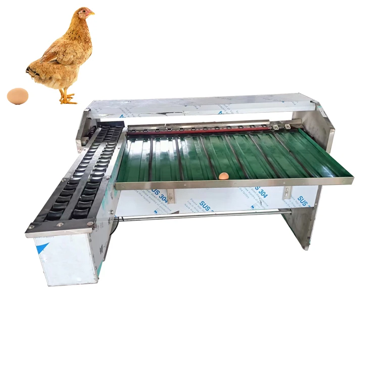 Egg Grader Cost Egg Grading Machine Price Egg Grader