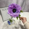 Peau Violette Lotus Argenté Hydratante (Absolument Éblouissante en Réalité !)