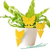 Yellow Butterfly