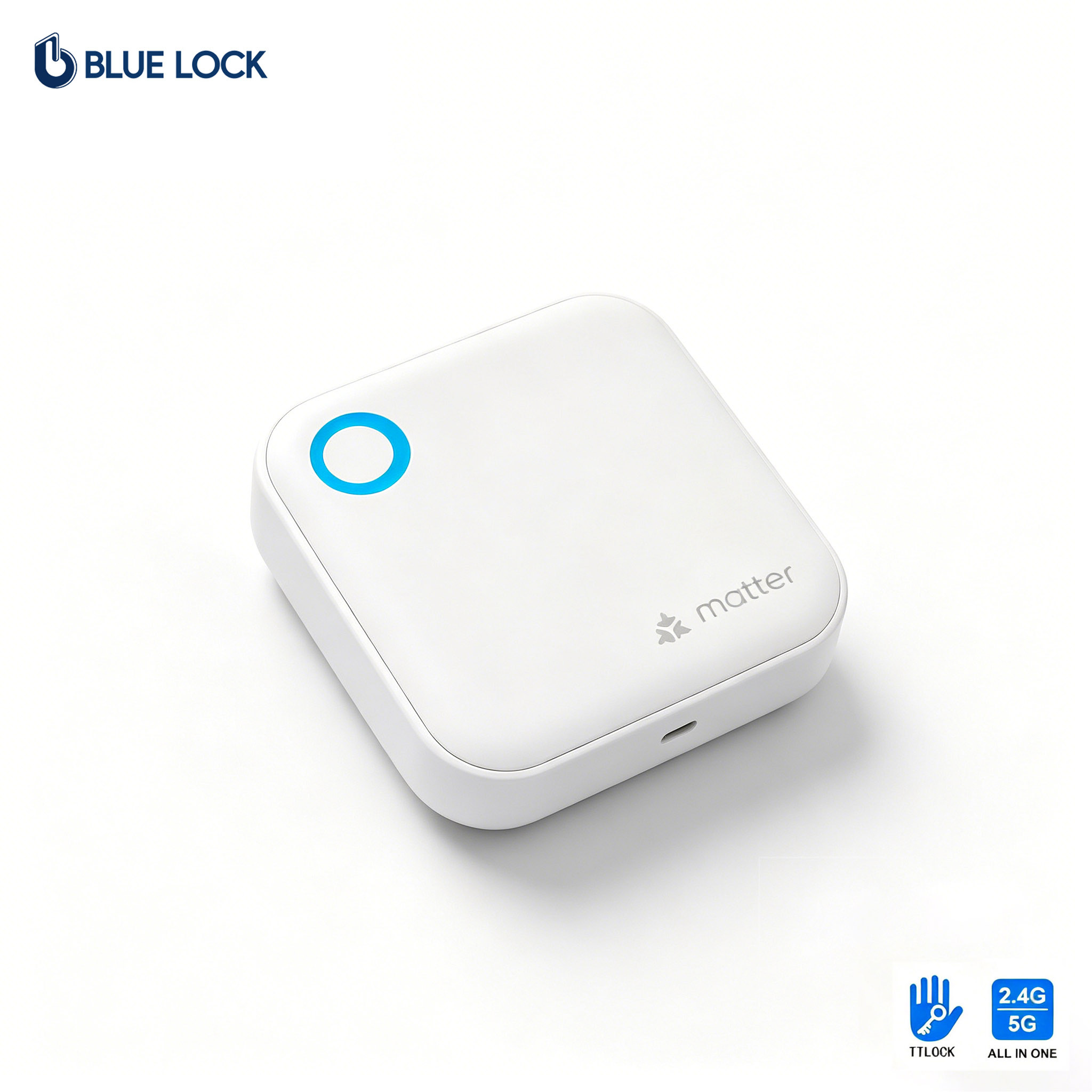 Bluelock TTLock Hotel System G6 Matter Gateway 2.4G Wifi BLE Smart Home Google Alex Remote Control Ai Smart Lock Compatible
