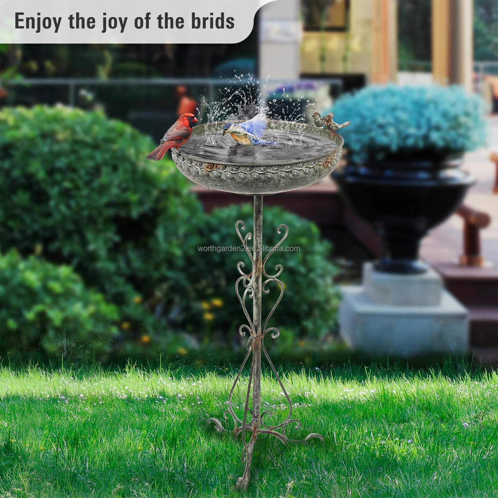 Zaino Trasparente Per Uccelli - Capsula Spaziale Con Finestra Per Piccoli Animali