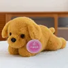 Golden retriever puppy