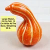 Yellow big-bend melon