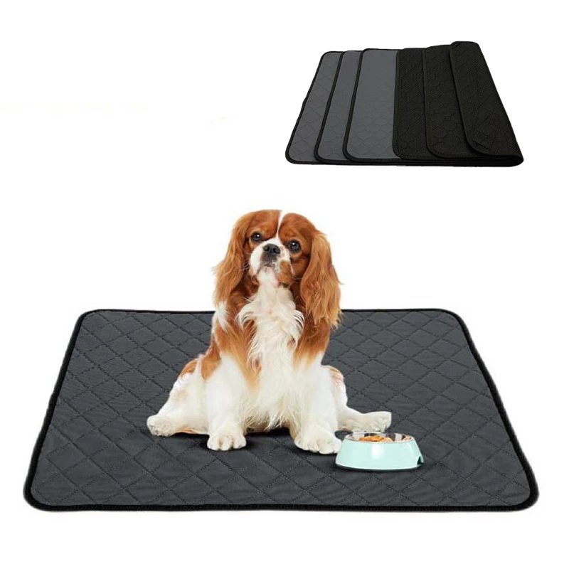 IVY water-absorbent leak-proof reusable washable pee pads for dogs