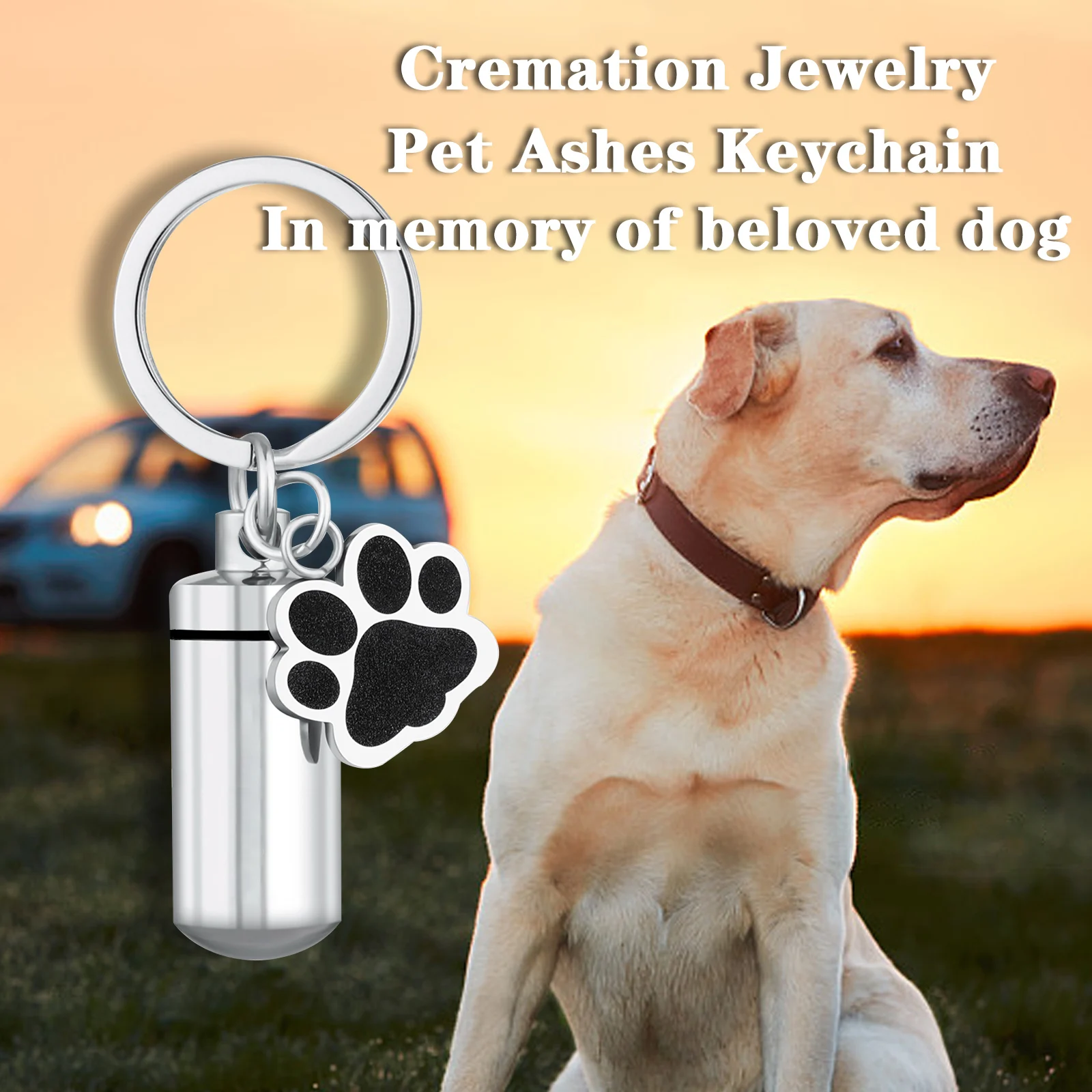 Personalized Cylinder with Wing Paw Cremation Urn Keychain Pendant  Memorial Ashes Keyring Keepsake Jewelry Gift for Women Men