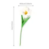White flowering tulips
